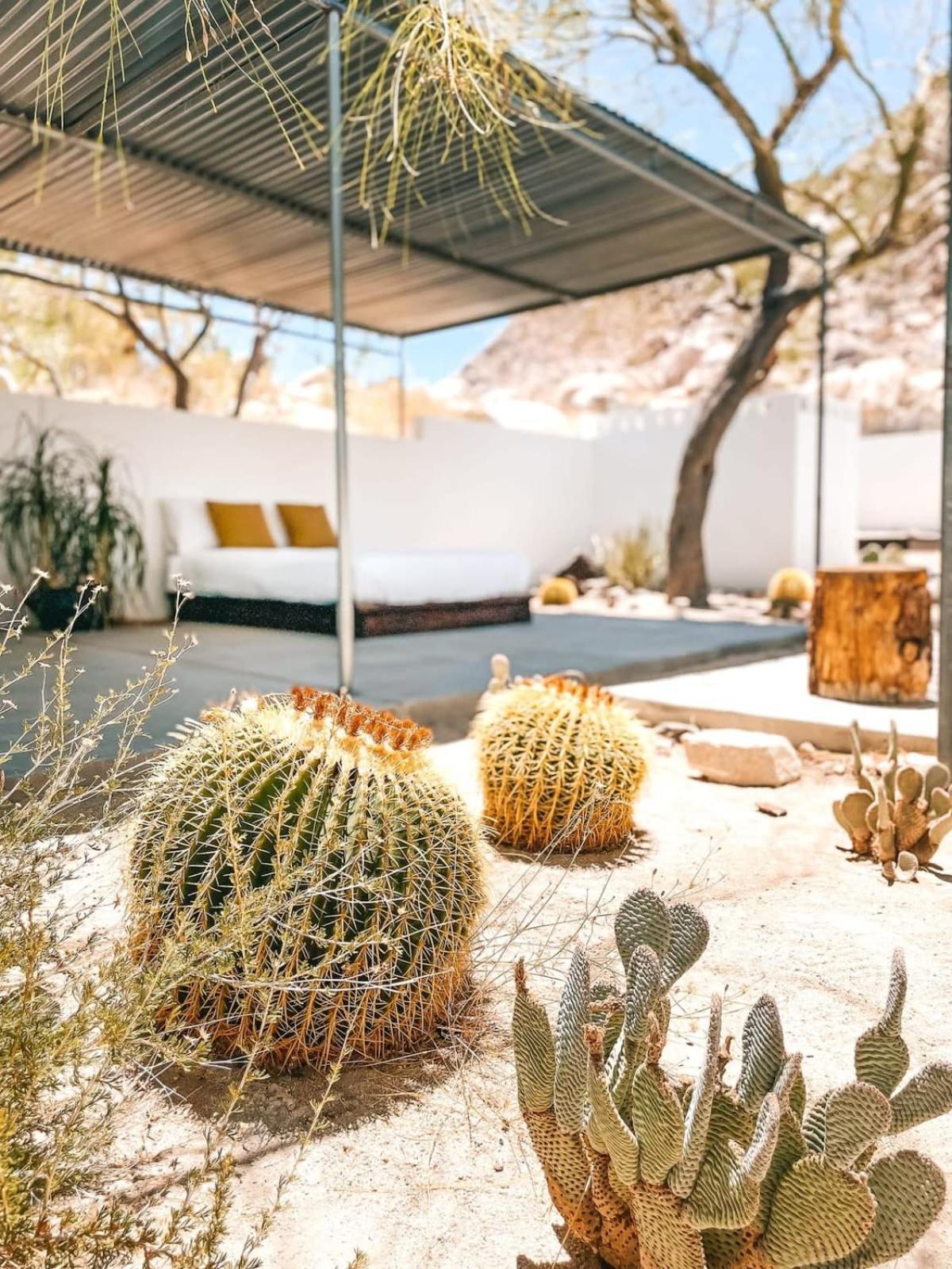 Andrea Zittel'S Joshua Tree Home A Z West House Buitenkant foto